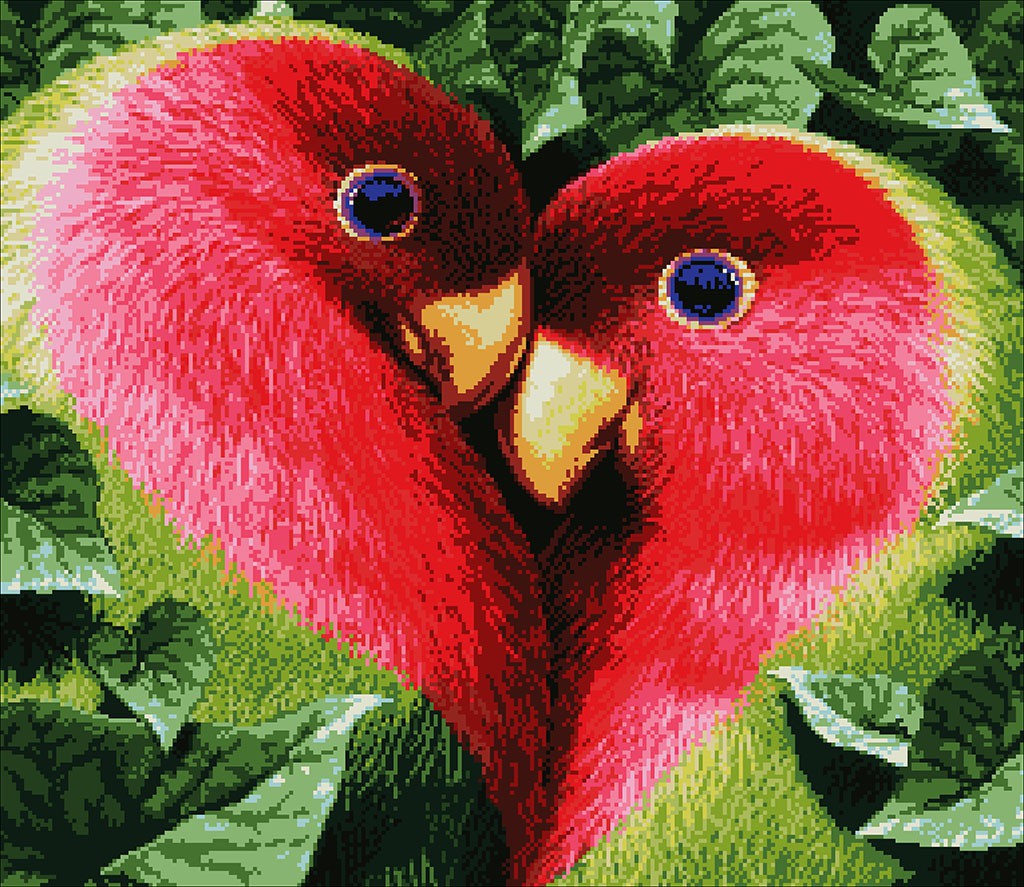 Неразлучники попугаи сердечко