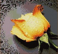 7291 Желтая роза 26х30  - Интернет-магазин товаров для вышивки бисером "Ручки Золотые", Ноябрьск