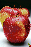 ЧК3-3016 Вкус яблок 26,5х39,5 частичная зашивка - Интернет-магазин товаров для вышивки бисером "Ручки Золотые", Ноябрьск